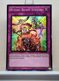 Yugioh! 1x Ritual Beast Steeds (THSF - Super Rare) 1st Edition