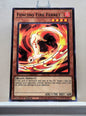 Yugioh! Structure Deck: Fire Kings Singles (SR14 - Common) 1st Edition