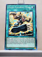 Yugioh! Dawn of Majesty Singles (DAMA - Common) 1st Edition