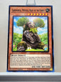 Yugioh! 2022 Tin of the Pharaoh's Gods Singles Set 3 (MP22 - Common) 1st Edition