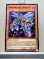 Yugioh! 2023 25th Anniversary Tin: Dueling Heroes Singles Set 2 (MP23 - Common) 1st Edition