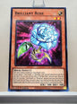 Yugioh! 2023 25th Anniversary Tin: Dueling Heroes Singles Set 2 (MP23 - Common) 1st Edition