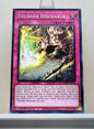 Yugioh! 2023 25th Anniversary Tin: Dueling Heroes Singles Set 2 (MP23 - Common) 1st Edition