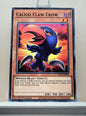 Yugioh! Structure Deck: Egyptian God Singles (EGS1/EGO1 - Rare) 1st Edition