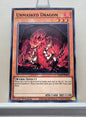 Yugioh! Structure Deck: Egyptian God Singles (EGS1/EGO1 - Rare) 1st Edition