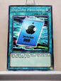 Yugioh! Structure Deck: Egyptian God Singles (EGS1/EGO1 - Rare) 1st Edition