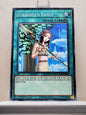 Yugioh! Structure Deck: Egyptian God Singles (EGS1/EGO1 - Rare) 1st Edition