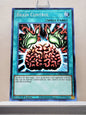 Yugioh! Legendary Duelists: Rage of Ra Singles (LED7 - Common) 1st/Unli Edition