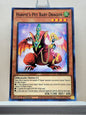 Yugioh! Legendary Duelists: Season 2 Singles Set 1 (LDS2 - Common) 1st Edition