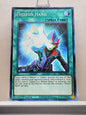 Yugioh! Legendary Duelists: Season 2 Singles Set 1 (LDS2 - Common) 1st Edition