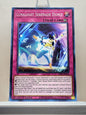 Yugioh! Legendary Duelists: Season 2 Singles Set 2 (LDS2 - Common) 1st Edition