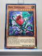 Yugioh! Legendary Duelists: Season 2 Singles Set 2 (LDS2 - Common) 1st Edition