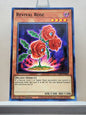 Yugioh! Legendary Duelists: Season 2 Singles Set 2 (LDS2 - Common) 1st Edition