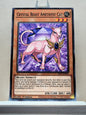 Yugioh! Legendary Duelists: Season 1 Singles (LDS1 - Common) 1st Edition