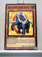 Yugioh! Legendary Duelists: Season 1 Singles (LDS1 - Common) 1st Edition