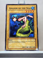 Yugioh! 1x Amazon of the Seas (CP05 - Common) Unli Edition