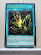 Yugioh! 1x Predapractice (LDS3 - Ultra Rare) 1st Edition