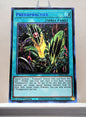 Yugioh! 1x Predapractice (LDS3 - Ultra Rare) 1st Edition