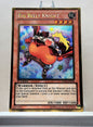 Yugioh! 1x Big Belly Knight (PGLD - Gold Secret Rare) 1st Edition