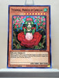 Yugioh! 1x Tytannial, Princess of Camellias (SESL - Super Rare) 1st Edition