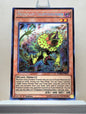 Yugioh! 1x Predaplant Chlamydosundew (FUEN - Secret Rare) 1st Edition