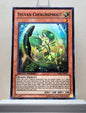 Yugioh! 1x Sylvan Cherubsprout (LVAL - Super Rare) Limited Edition