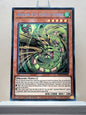 Yugioh! 1x Awakening of the Possessed - Rasenryu (DLCS - Secret Rare) Limited Edition