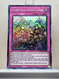 Yugioh! 1x Stained Glass of Light & Dark (BODE - Super Rare) 1st Edition