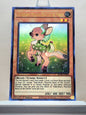 Yugioh! 1x Valerifawn, Mystical Beast of the Forest (BLAR - Ultra Rare) 1st Edition