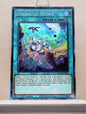 Yugioh! 1x Ursarctic Slider (ANGU - Super Rare) 1st Edition