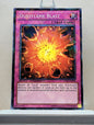 Yugioh! 1x Dustflame Blast (DT06 - Normal Parallel Rare) Duel Terminal