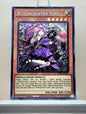 Yugioh! 1x Witchcrafter Edel (MP20 - Prismatic Secret Rare) 1st Edition