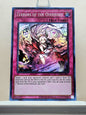 Yugioh! 1x Terrors of the Overroot (OP24 - Super Rare) Unli Edition