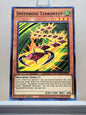 Yugioh! Legendary Duelists: Synchro Storm Singles (LED8 - Rare/Common) 1st Edition