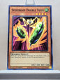 Yugioh! Legendary Duelists: Synchro Storm Singles (LED8 - Rare/Common) 1st Edition