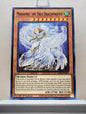 Yugioh! Legendary Duelists: Synchro Storm Singles (LED8 - Rare/Common) 1st Edition