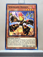 Yugioh! Blazing Vortex Singles (BLVO - Common) 1st Edition