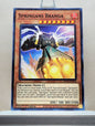 Yugioh! Blazing Vortex Singles (BLVO - Common) 1st Edition