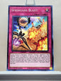 Yugioh! Blazing Vortex Singles (BLVO - Common) 1st Edition