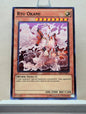 Yugioh! Shining Victories Singles (SHVI - Common) 1st/Unli Edition