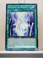 Yugioh! Shining Victories Singles (SHVI - Common) 1st/Unli Edition