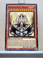 Yugioh! Rise of the Duelist Singles (ROTD - Common) 1st Edition