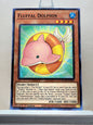 Yugioh! Rise of the Duelist Singles (ROTD - Common) 1st Edition