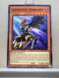 Yugioh! Rise of the Duelist Singles (ROTD - Common) 1st Edition