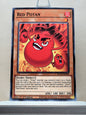 Yugioh! Rise of the Duelist Singles (ROTD - Common) 1st Edition