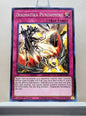 Yugioh! Rise of the Duelist Singles (ROTD - Common) 1st Edition