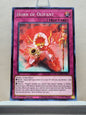 Yugioh! Rise of the Duelist Singles (ROTD - Common) 1st Edition