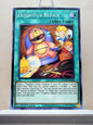 Yugioh! Rise of the Duelist Singles (ROTD - Common) 1st Edition