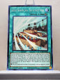 Yugioh! Rise of the Duelist Singles (ROTD - Common) 1st Edition