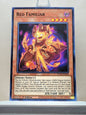 Yugioh! Eternity Code Singles (ETCO - Common) 1st Edition